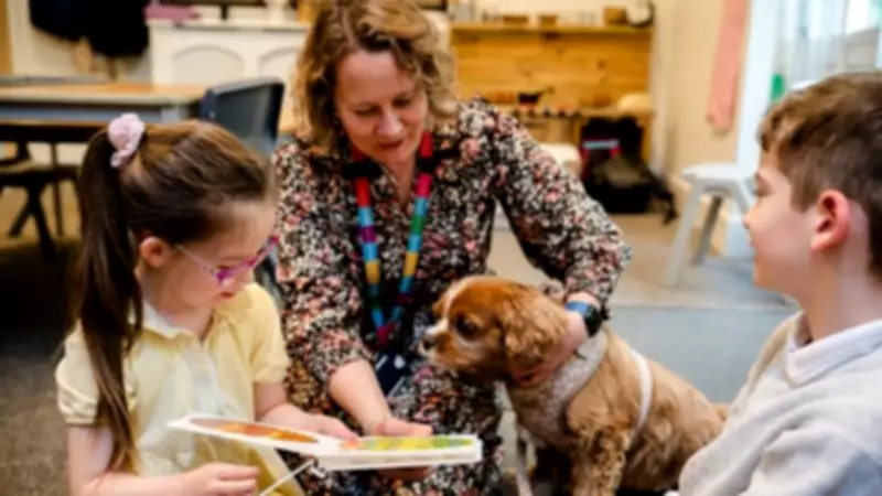 Norfolk Therapy Dog Millie Crowned One of UK's Top School Dogs of 2026