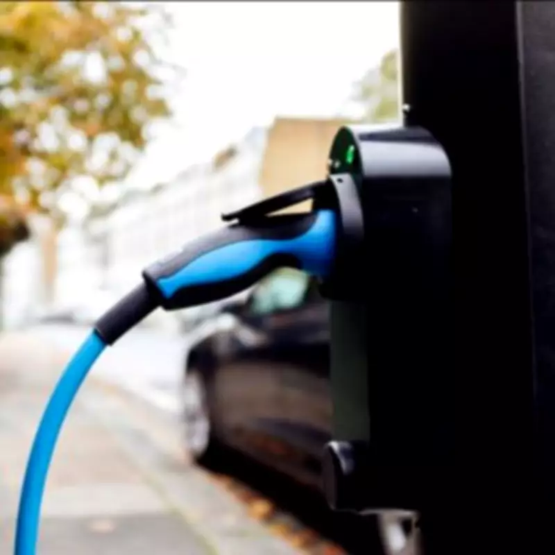 Octopus Energy Customers Rush to Second-Hand EV Leases After 177% Surge