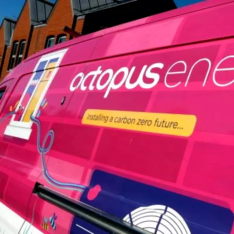 Octopus Energy Offers £860 Annual Boost for Driveway Owners
