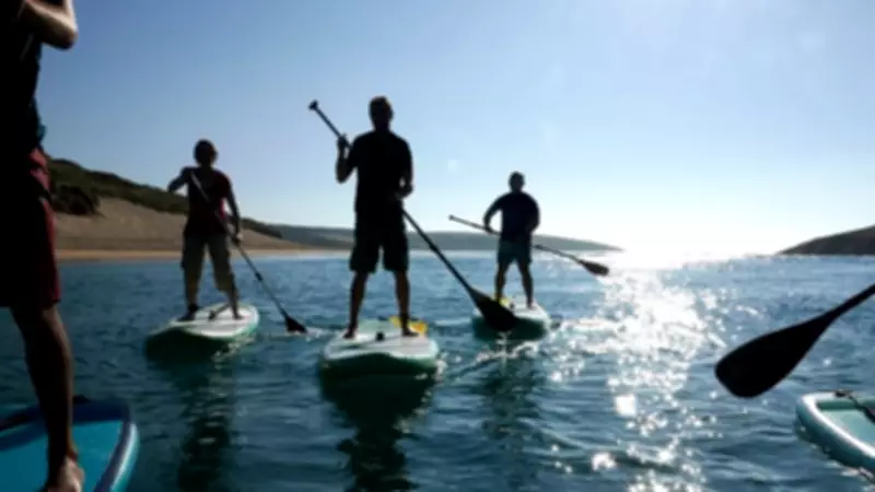 Open Day at Maylandsea Sailing Club Offers Free Taster Sessions