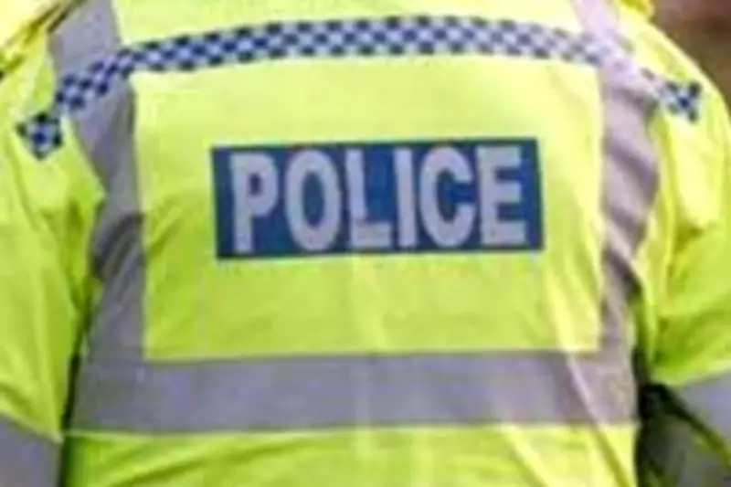 Pedestrian in His 60s Dies in Lorry Crash After Car Breakdown