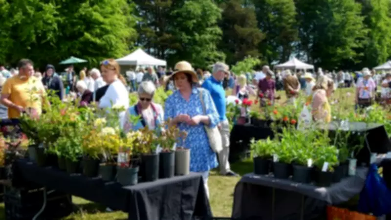 Plant Hunters' Fair Returns to Capesthorne Hall This Weekend