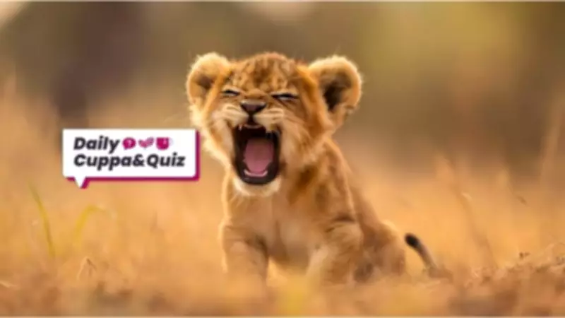 Quiz Answers: Marilyn Monroe, Narnia Lion, and More May 18 Trivia