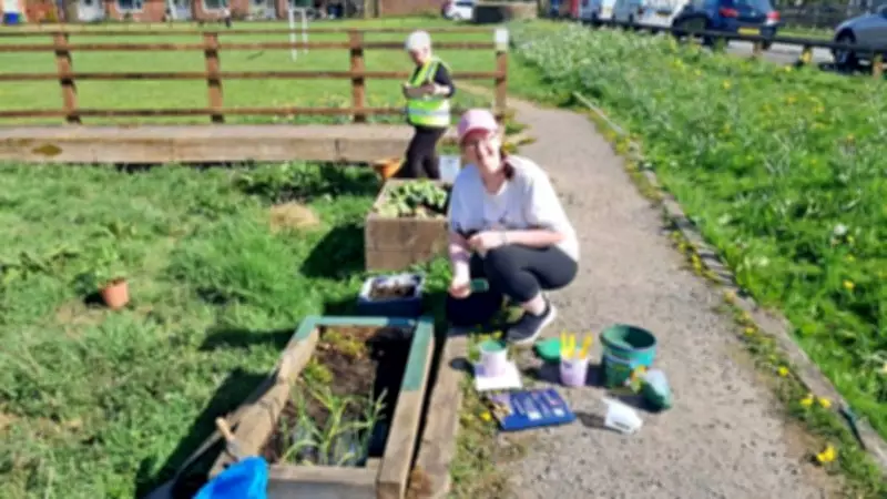 Rotarians and Friends Join to Spruce Up Lumb Millennium Green