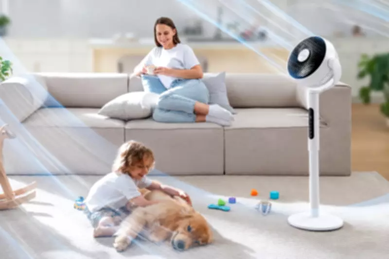 Save Big on Levoit Pedestal Fan: Amazon Deal for Home Cooling