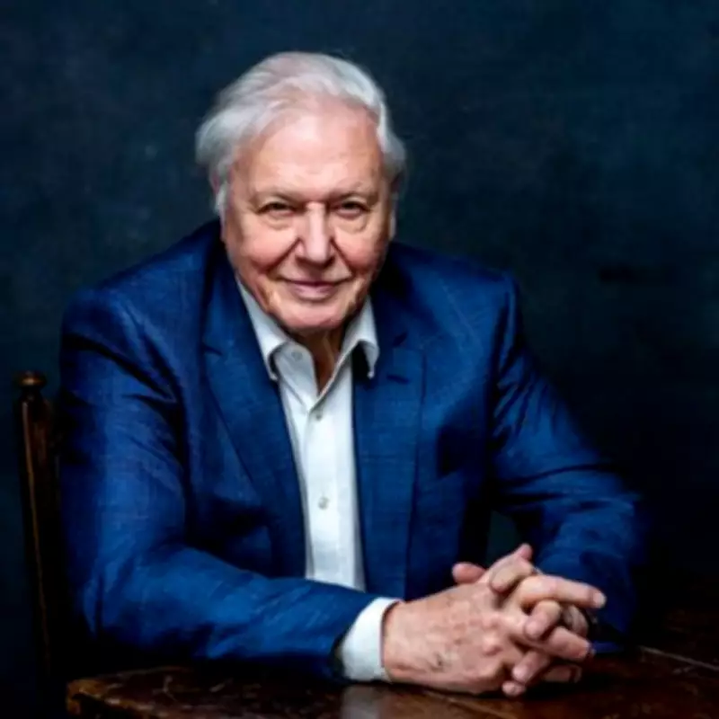 Sir David Attenborough 'completely overwhelmed' by birthday messages at 100