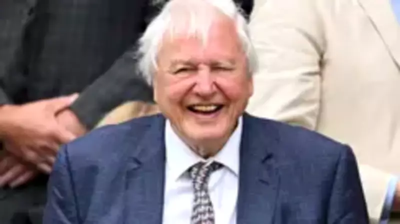 Sir David Attenborough Dislikes Being Called a 'National Treasure'
