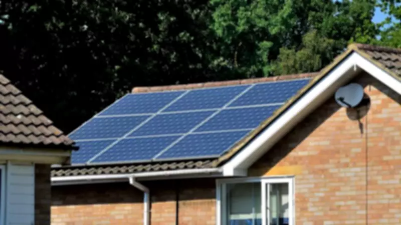 Solar Panel Demand Surges 50% as Households Seek Energy Control