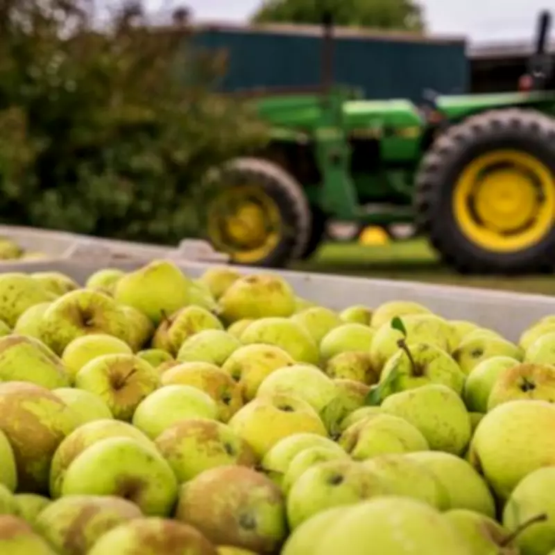 Somerset fruit machinery firm that supplied Royal Family enters administration