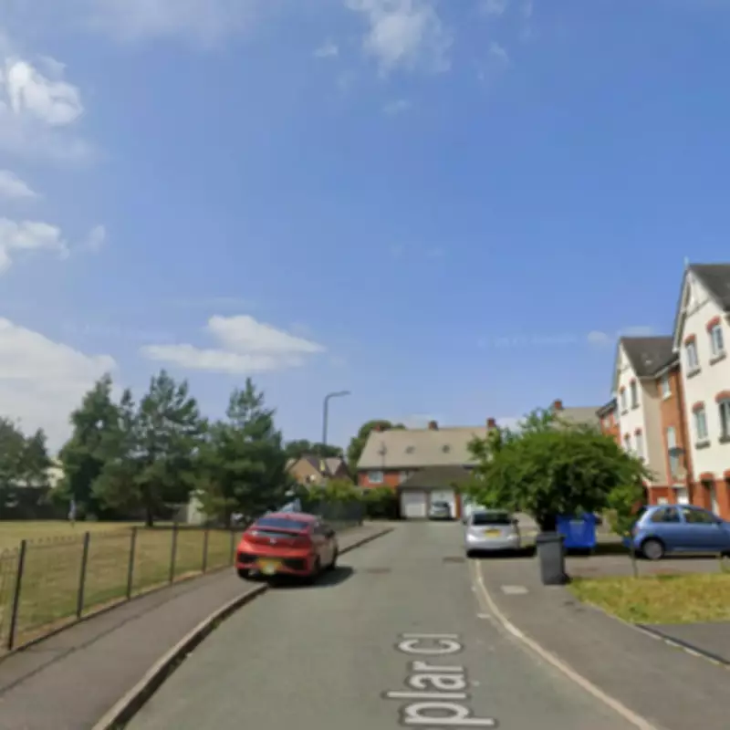 Staffordshire Bull Terrier Attack in Shrewsbury: Police Appeal for Owners