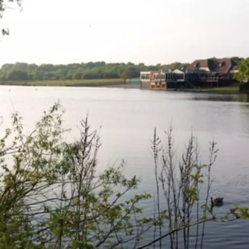 Sutton Park Cyclist Slashed and E-Bike Stolen in Daylight Robbery by Seven Youths