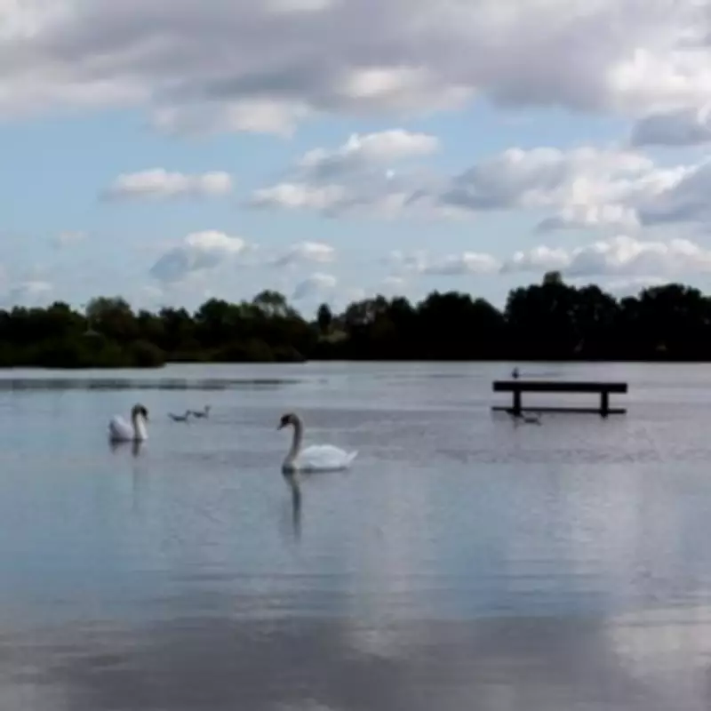 Teenage Girl Found Dead at Kingsbury Water Park in Warwickshire