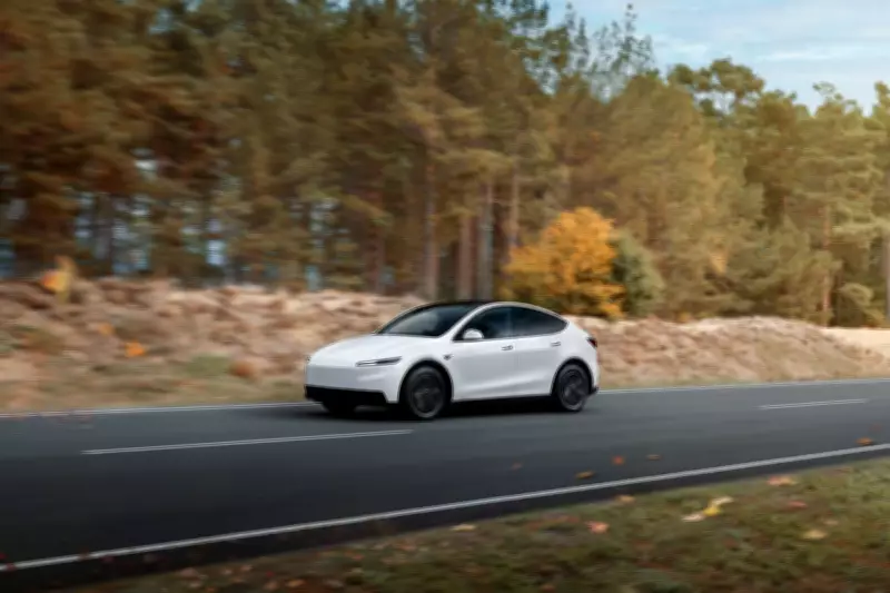 Tesla Model Y Rear-Wheel Drive EV: Comprehensive Review