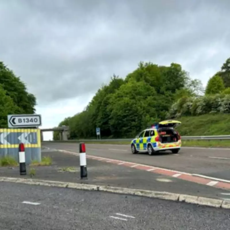 Three Dead in A1 Northumberland Head-On Crash; Investigation Underway
