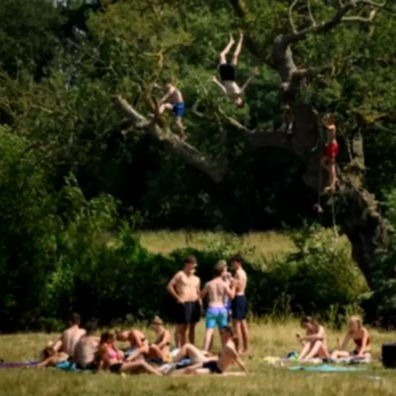 UK Braces for Hottest Weekend: 29C Heatwave Expected