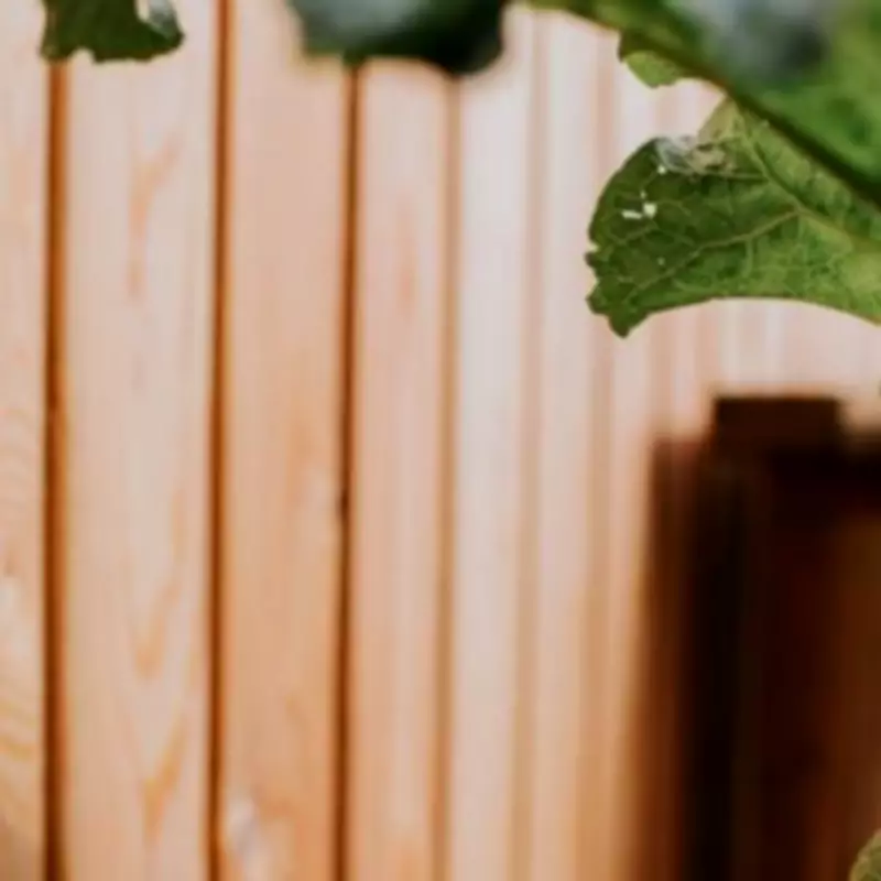 UK Garden Fence Warning: Illegal Changes Could Lead to £5,000 Fines