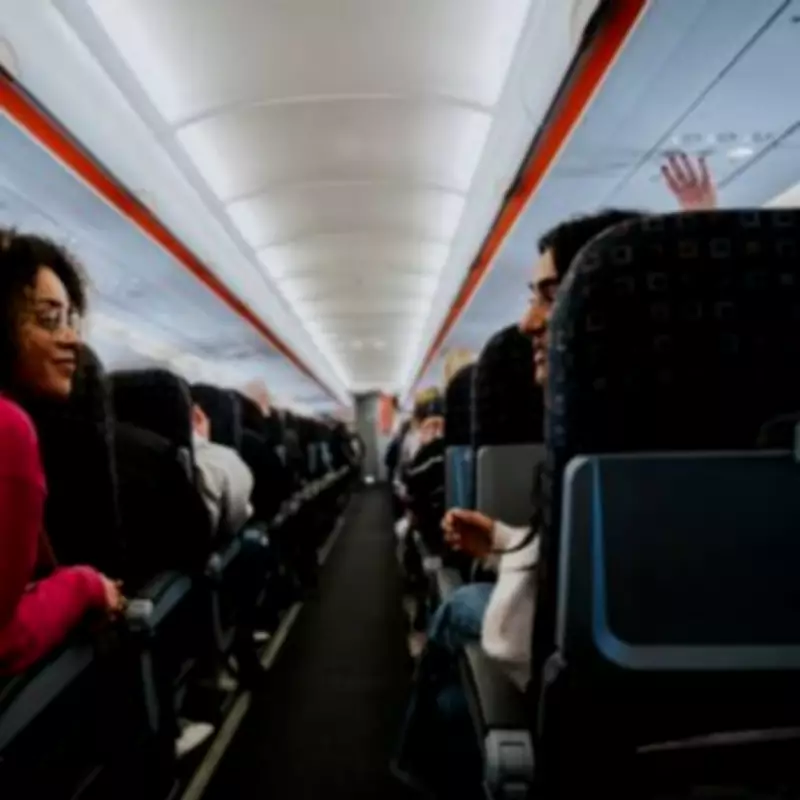 UK Government Rejects Petition to Allow Small Pets in Airline Cabins
