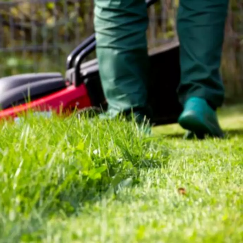 UK households urged not to cut grass for entire month of May