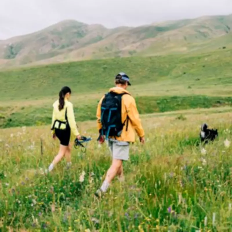 UK's Most Dangerous Insect: Tick Bite Risks Before Summer Walks