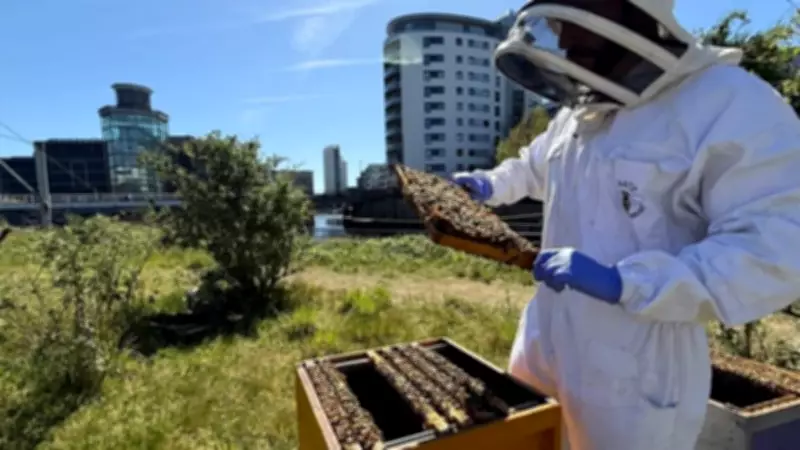 Urban Beekeeping Thrives in Leeds with 40,000 Bees on Fearns Island