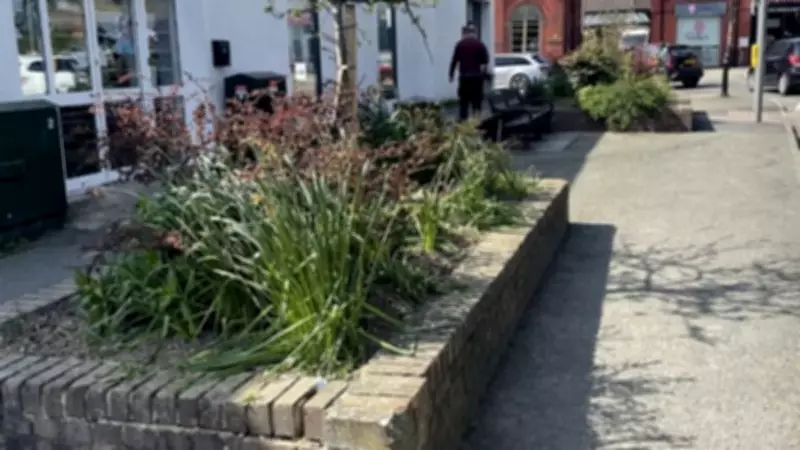 Welshpool Town Council Seeks Volunteers for Town Centre Floral Displays