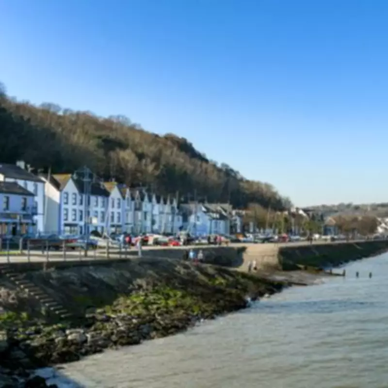 Wheelchair-Accessible Dog-Friendly Holiday Home Near Gower Coast