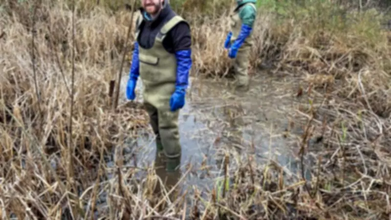 Wild Ground launches conservation projects in North East Wales