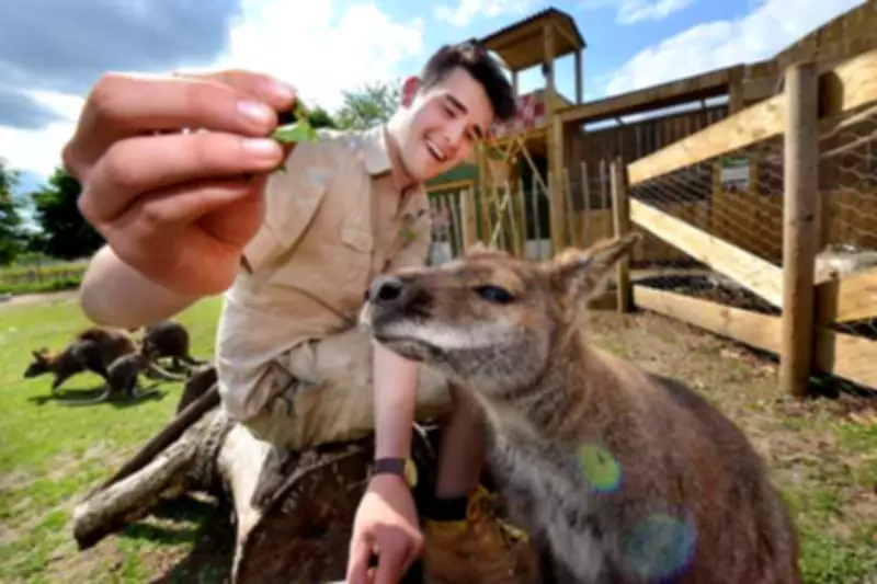 Wild Zoological Park in Stourbridge Closed Today: Here's Why