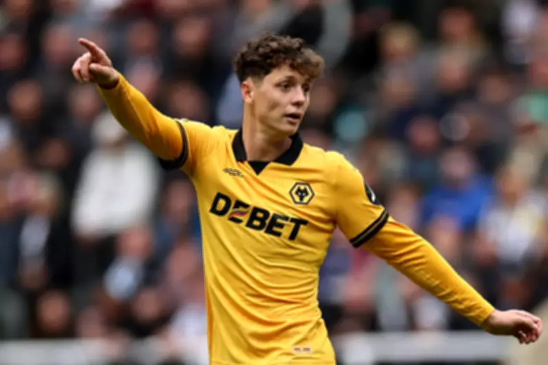 Wolves Injury Boost: Krejci and Bueno Fit for Brighton Clash