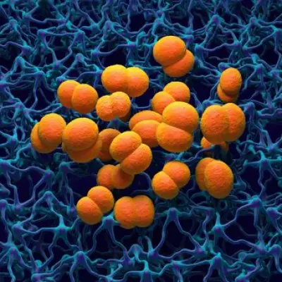 14 Meningitis Symptoms as UK Faces New Deadly Outbreak