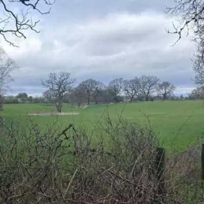 70 Greenbelt Homes Planned for Alderley Edge by Bellway