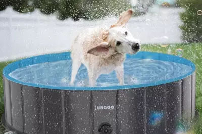 Beat the Heat with This Foldable Paddling Pool Deal on Amazon