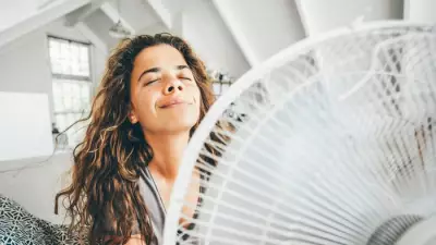 Best Summer Fan Deals 2025: Beat the Heatwave on a Budget