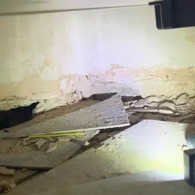 Birmingham mum, 20, shares 'constant nightmare' of rat-infested home