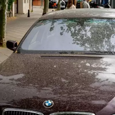 Drivers Warned of £1,000 Fines for Dirty Cars Under Little-Known Rule