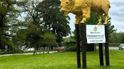 Famous Bison Statue in North Wales Gets Glittering Gold Makeover