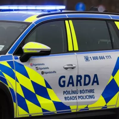 Man critical after park attack in Dublin as police launch manhunt