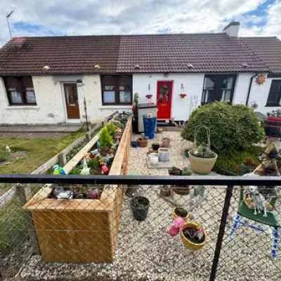 Neighbour Row Over Widow's Planter Ends in Court with Fine