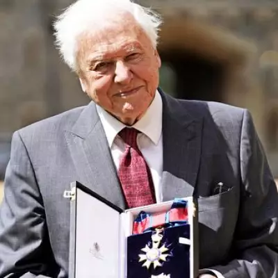 Netflix's 'Obscene' David Attenborough Parody Mating Season Drops After 100th Birthday