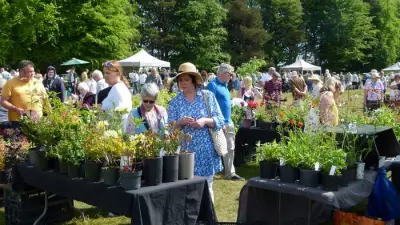 Plant Hunters' Fair Returns to Capesthorne Hall This Weekend