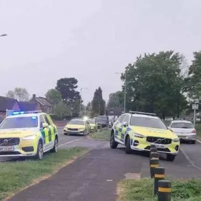 Teenager dies after tree falls on him in Stafford tragedy