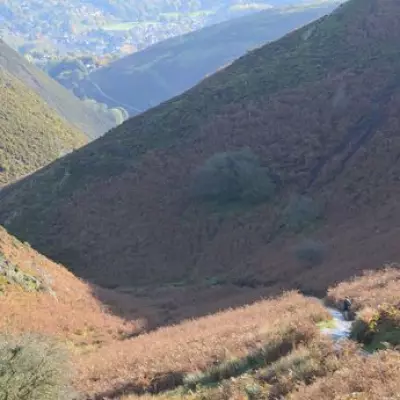 Three Midlands Counties Set for Bank Holiday Mini Heatwave
