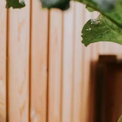 UK Garden Fence Warning: Illegal Changes Could Lead to £5,000 Fines