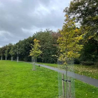 Walsall Political Groups Clash Over £50m Reedswood Park School Plan