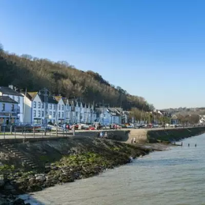 Wheelchair-Accessible Dog-Friendly Holiday Home Near Gower Coast
