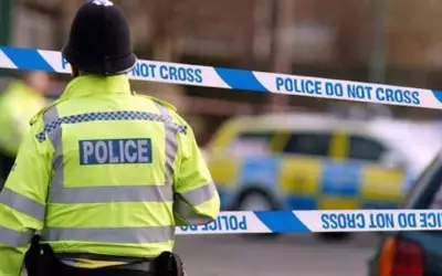Woman Dies After Being Hit by Car in Birmingham; Man Arrested