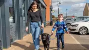 Autistic Boy's Life Transformed by Support Dog Davey