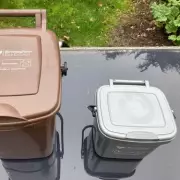 Binman Warns Food Waste Caddies Won't Be Emptied If Contaminated