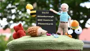 Crochet Postbox Tributes Celebrate Sir David Attenborough's 100th Birthday
