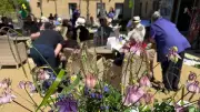 Essex Families Urged to Host Big Green Picnic for Dementia Support